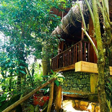 إيلا Jungle Face Inn المظهر الخارجي الصورة