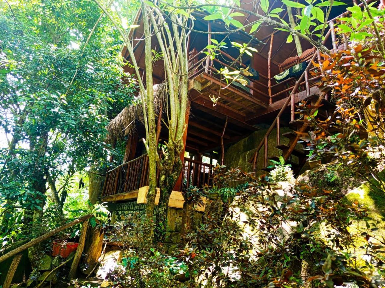 إيلا Jungle Face Inn المظهر الخارجي الصورة