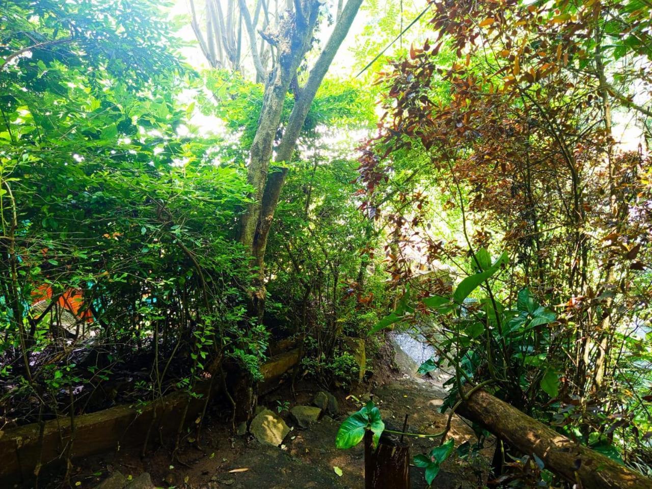 إيلا Jungle Face Inn المظهر الخارجي الصورة