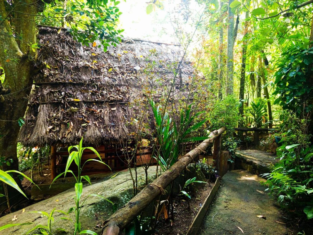 إيلا Jungle Face Inn المظهر الخارجي الصورة