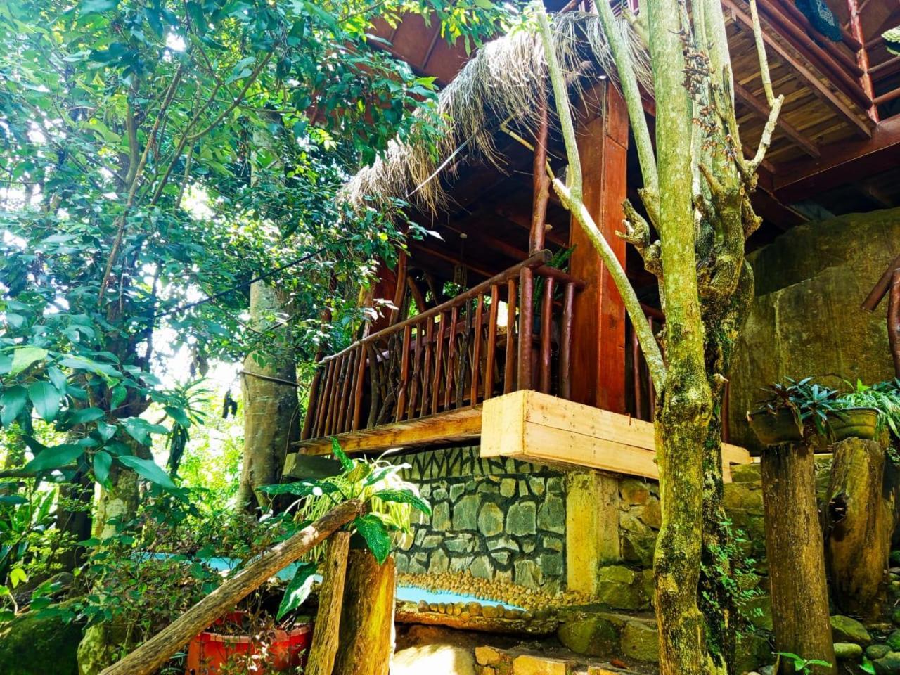 إيلا Jungle Face Inn المظهر الخارجي الصورة