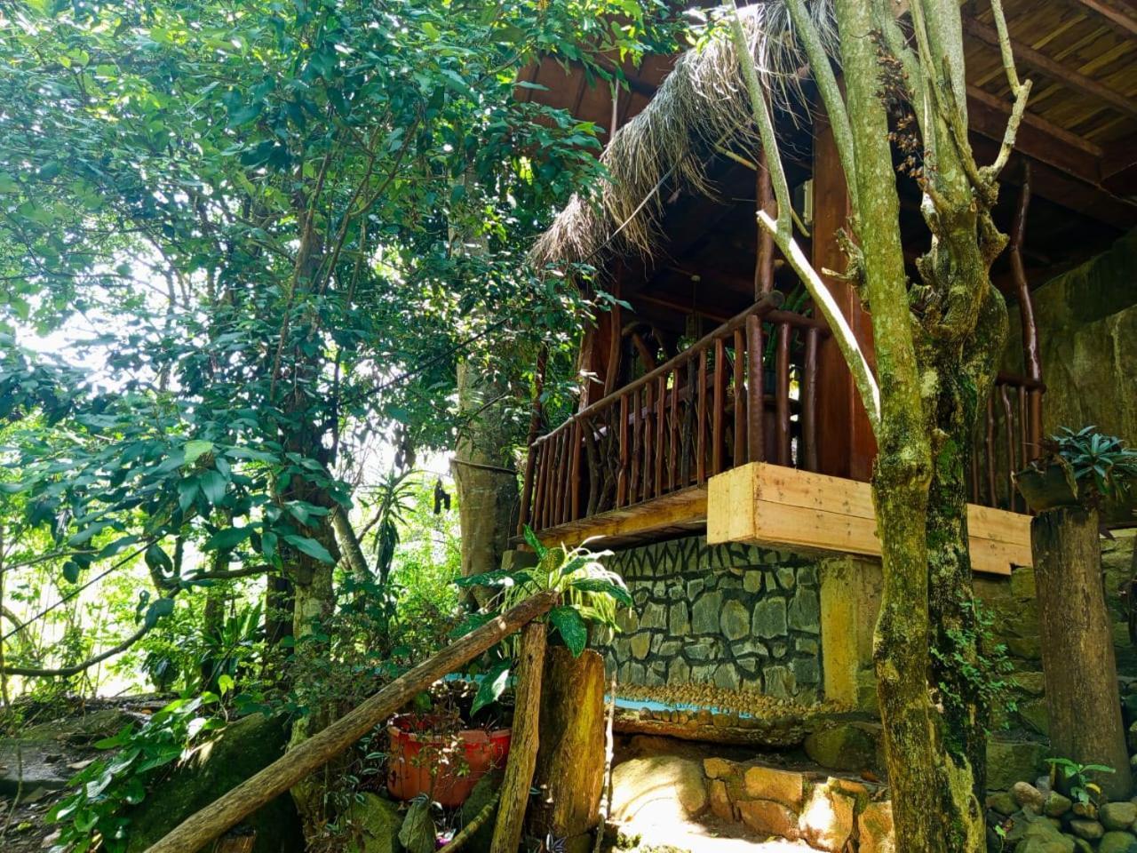 إيلا Jungle Face Inn المظهر الخارجي الصورة