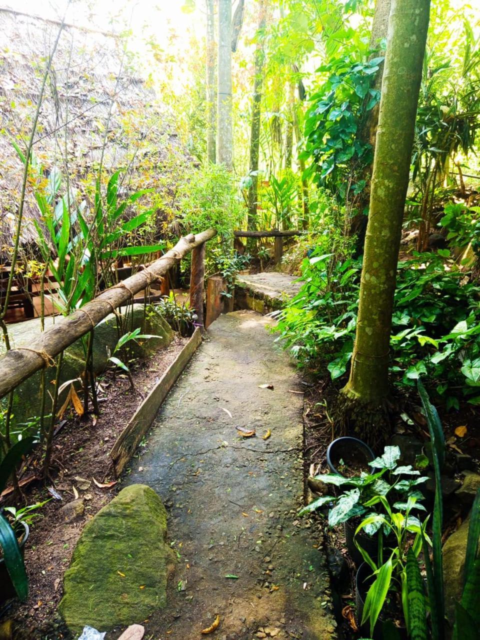 إيلا Jungle Face Inn المظهر الخارجي الصورة