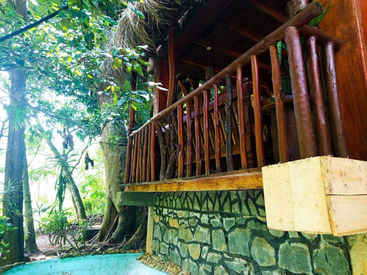إيلا Jungle Face Inn المظهر الخارجي الصورة