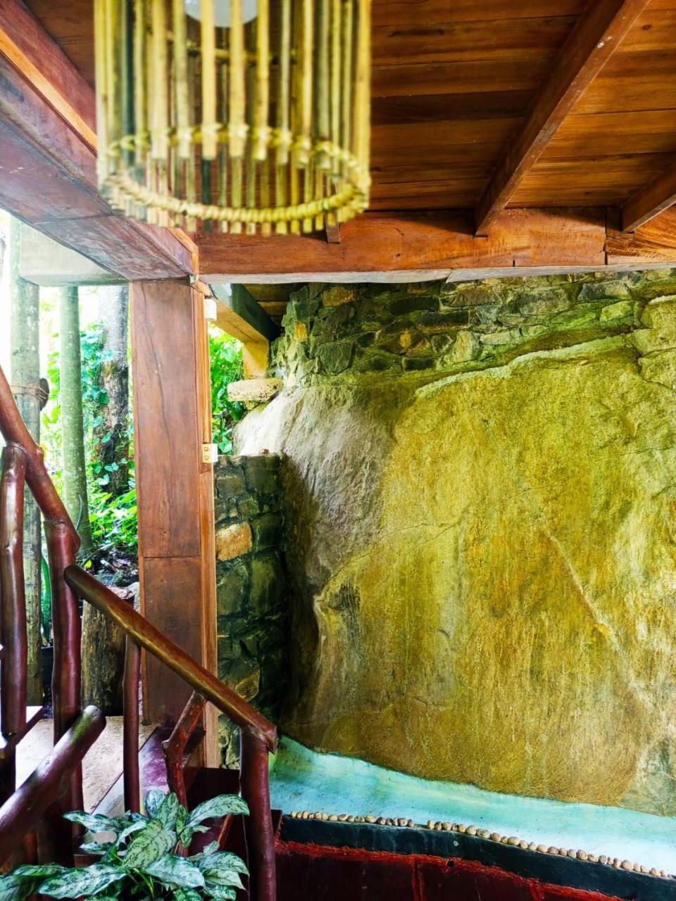 إيلا Jungle Face Inn المظهر الخارجي الصورة