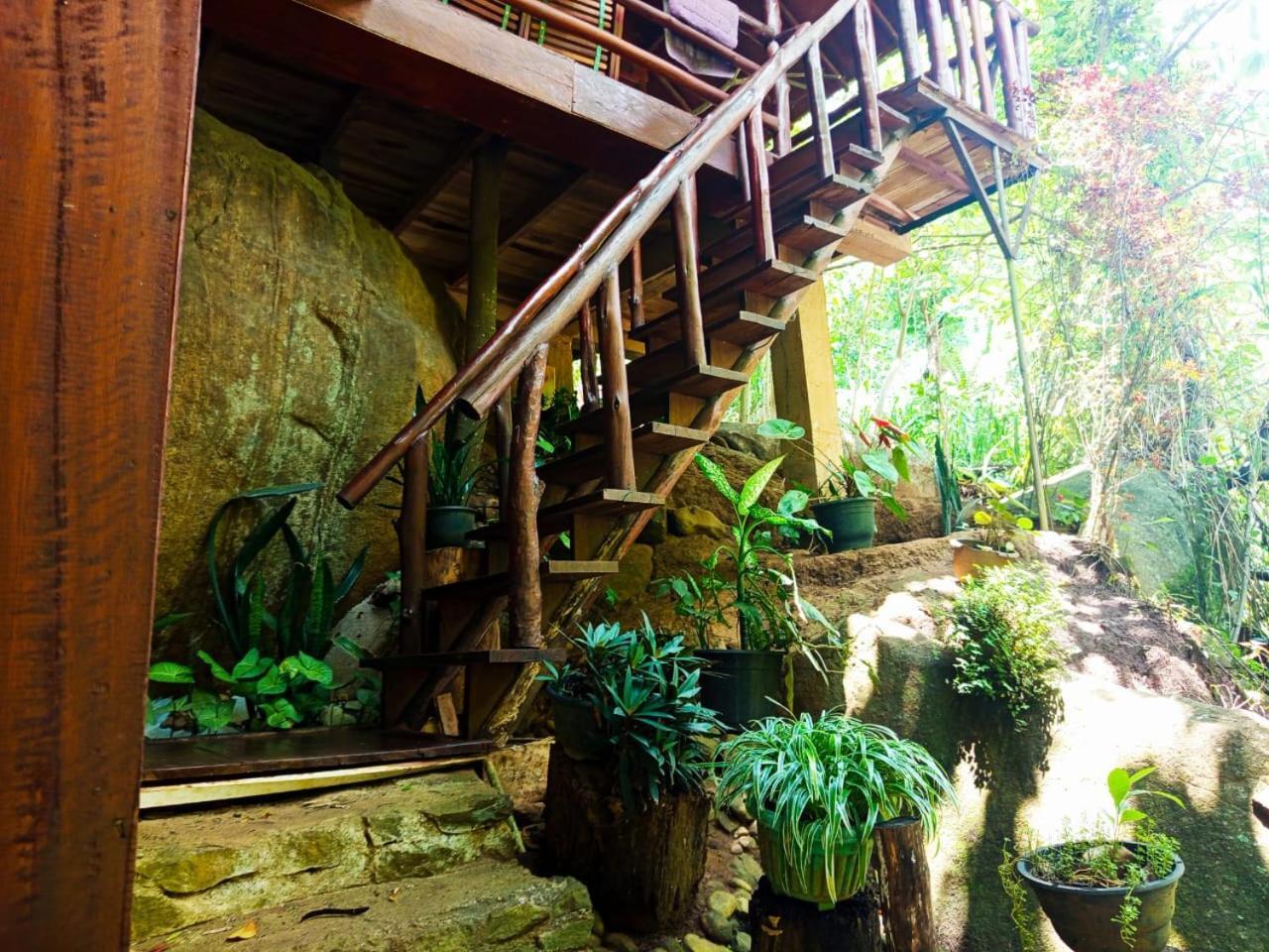 إيلا Jungle Face Inn المظهر الخارجي الصورة