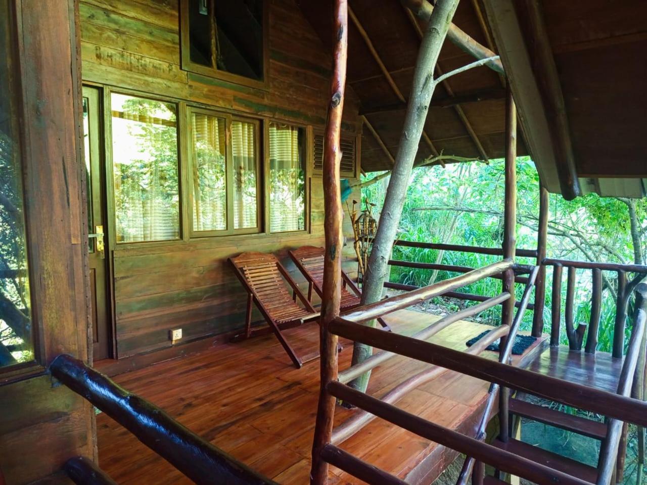إيلا Jungle Face Inn المظهر الخارجي الصورة