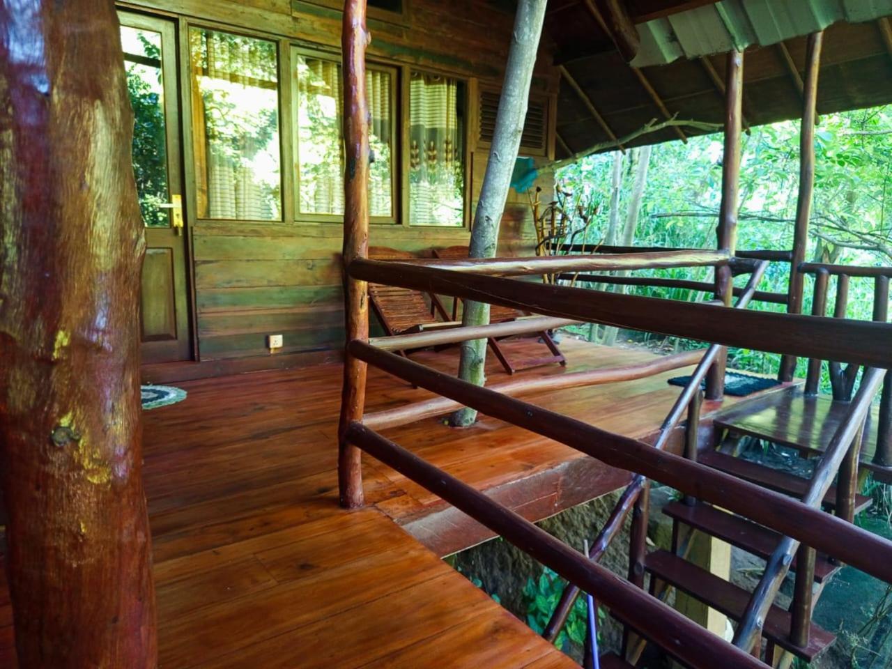 إيلا Jungle Face Inn المظهر الخارجي الصورة