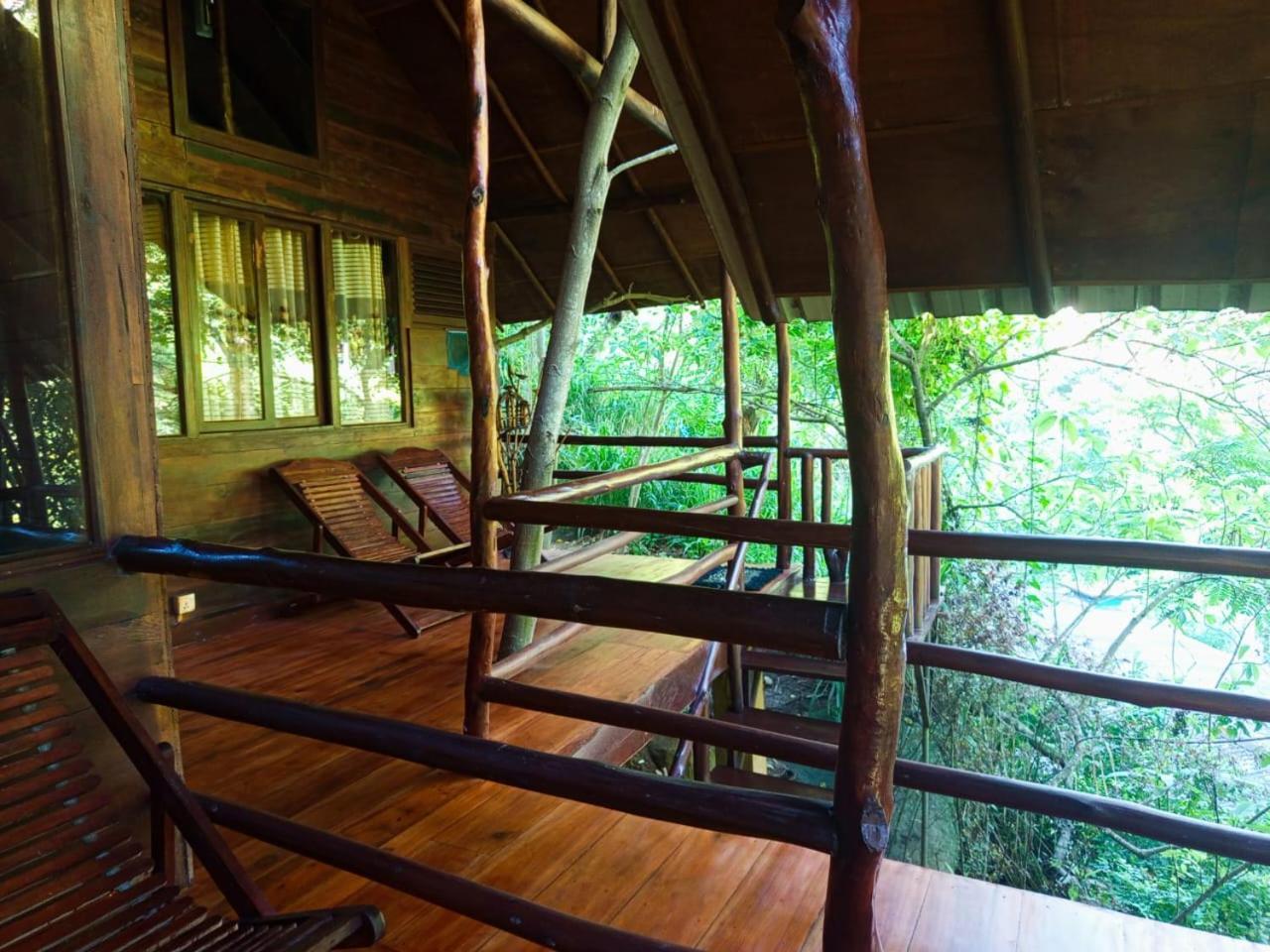 إيلا Jungle Face Inn المظهر الخارجي الصورة