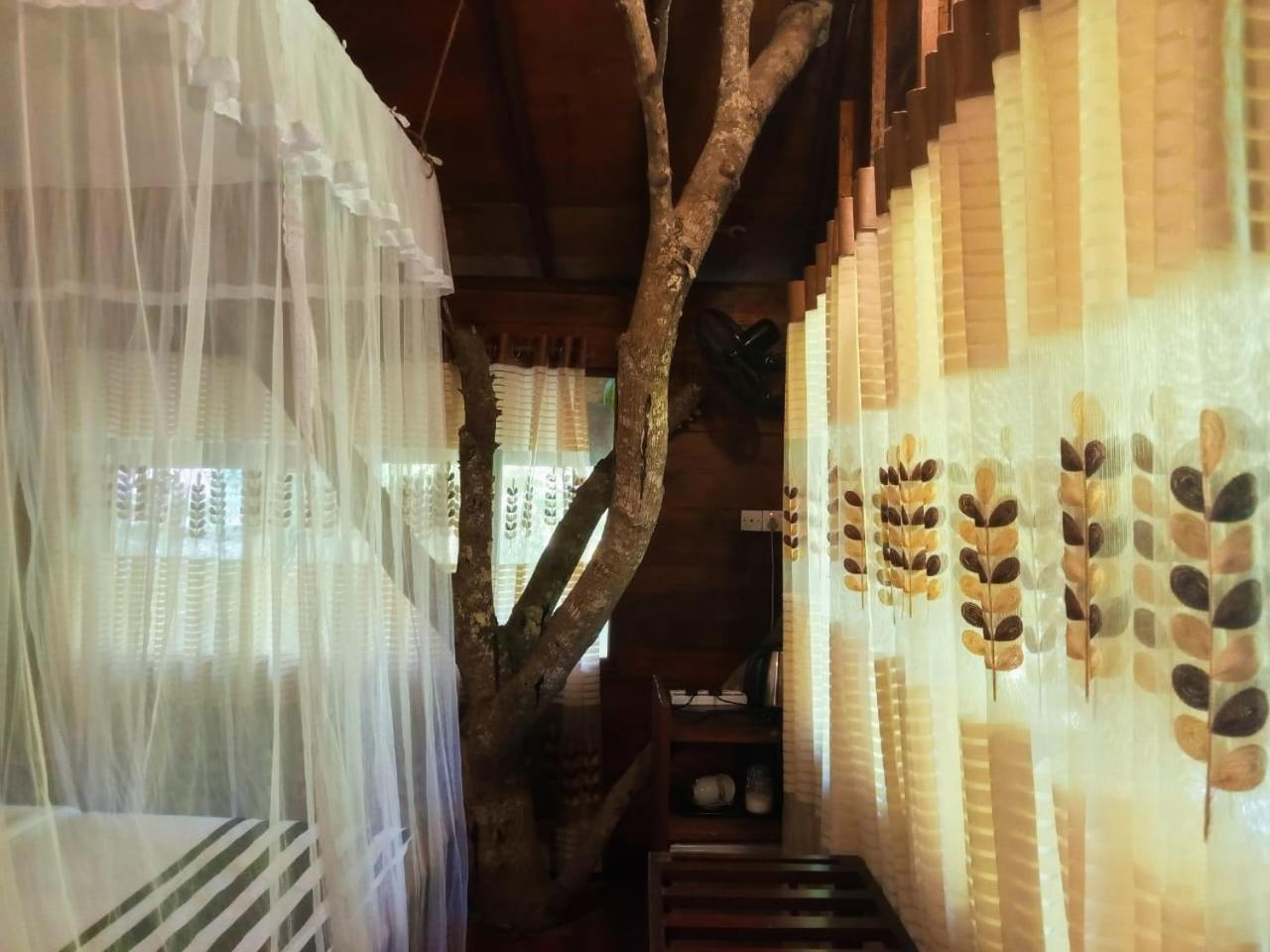 إيلا Jungle Face Inn المظهر الخارجي الصورة