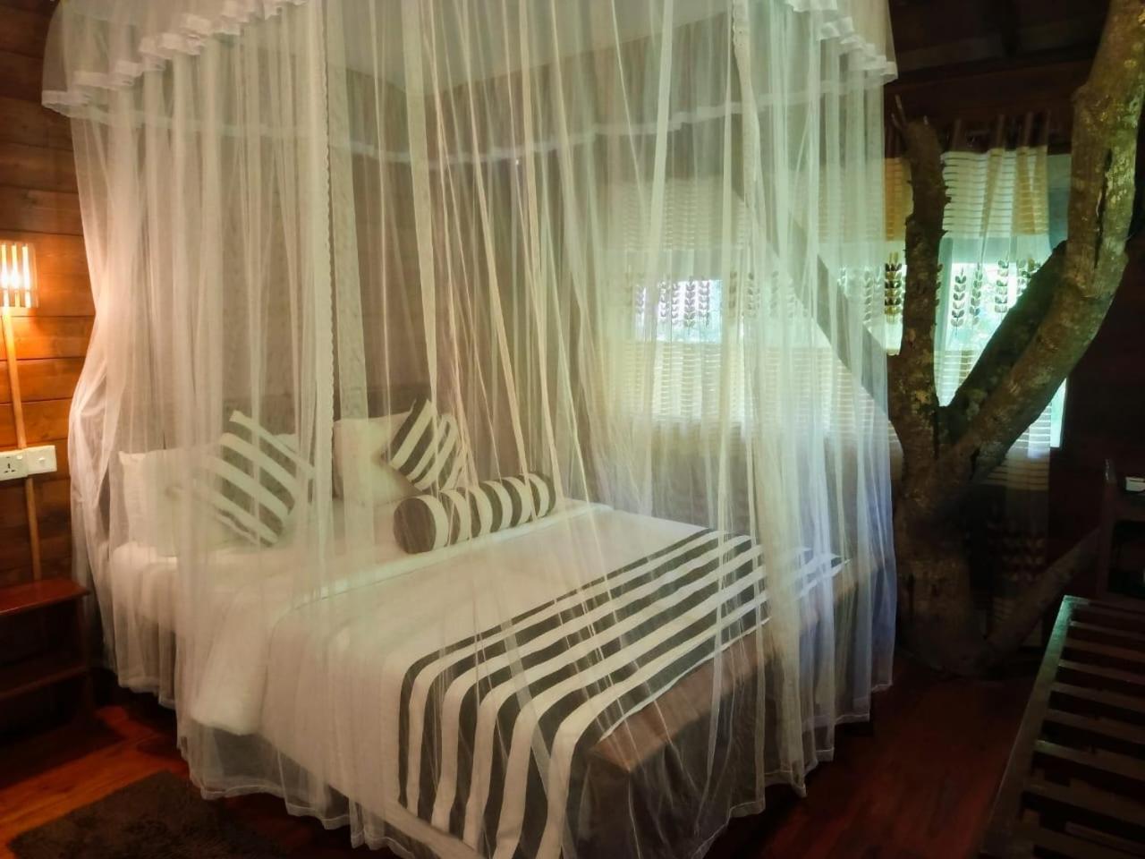 إيلا Jungle Face Inn المظهر الخارجي الصورة